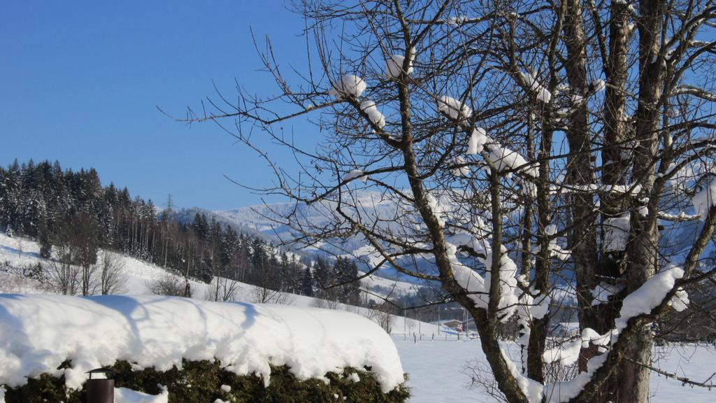 Apartmán Ramseiderhof Saalfelden Exteriér fotografie